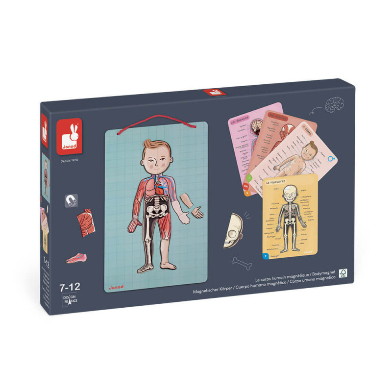 BODY MAGNET - ANATOMIE - EN 12 LANGUES - 5-10A - JANOD BODY MAGNET - ANATOMIE - EN 12 LANGUES - 5-10A - JANOD